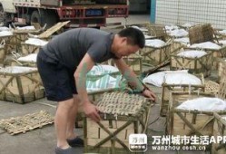 大渝网爆料台最新,揭秘最新热点事件背后的真相