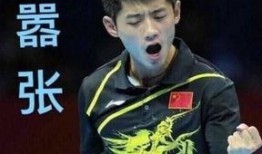 最新爆料张继科事件始末,揭秘乒乓球名将的争议漩涡与真相揭晓