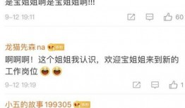 天洲最新爆料新闻报道,揭秘重大新闻事件内幕