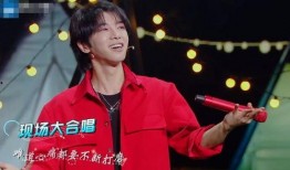 华晨宇王牌最新爆料,揭秘音乐背后的故事与情感