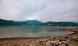 女子夜泳溺亡最新爆料,最新爆料揭露惊人真相