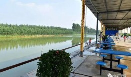 广州农庄爆料案件最新,揭开背后惊人真相