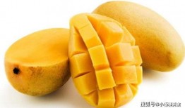 芒果最新爆料深圳网友,芒果最新爆料揭秘幕后真相