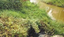 长春水世界最新爆料,长春水世界全新亮点大揭秘！